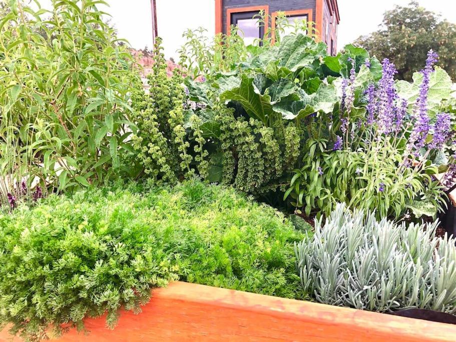 Hildale Atlantis Garden Tiny Home المظهر الخارجي الصورة