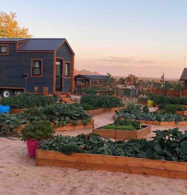 Hildale Atlantis Garden Tiny Home المظهر الخارجي الصورة