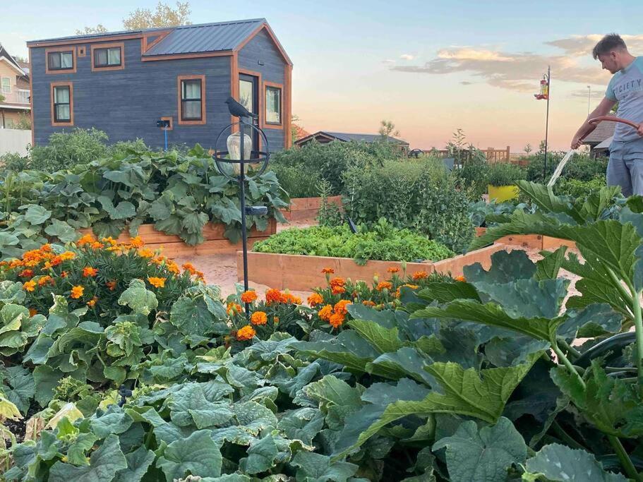 Hildale Atlantis Garden Tiny Home المظهر الخارجي الصورة