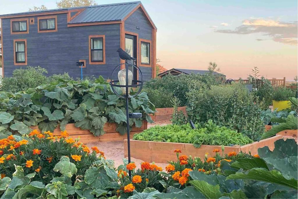 Hildale Atlantis Garden Tiny Home المظهر الخارجي الصورة